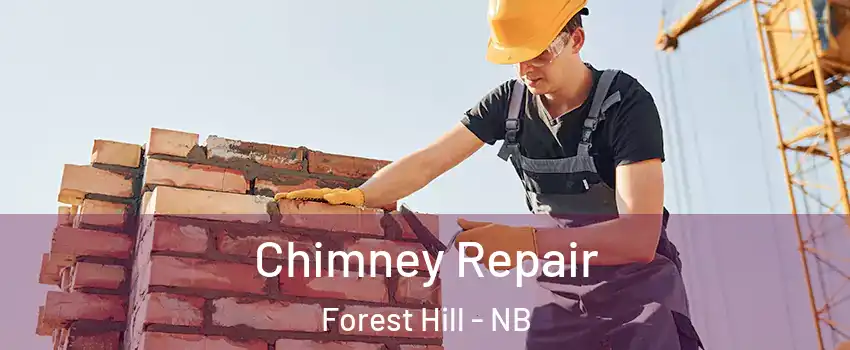  Chimney Repair Forest Hill - NB