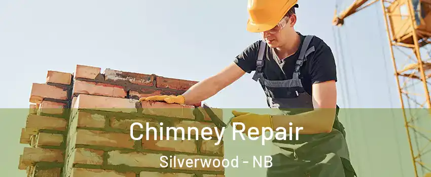  Chimney Repair Silverwood - NB