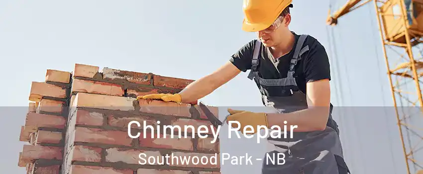  Chimney Repair Southwood Park - NB