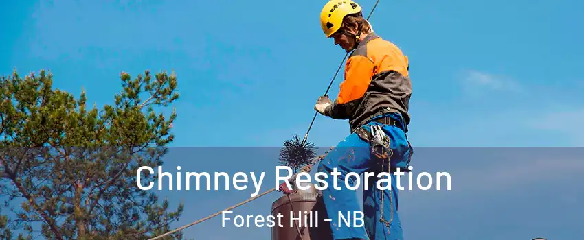  Chimney Restoration Forest Hill - NB