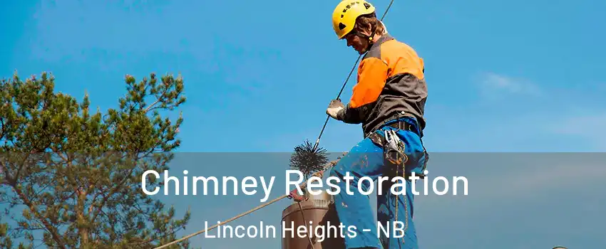  Chimney Restoration Lincoln Heights - NB
