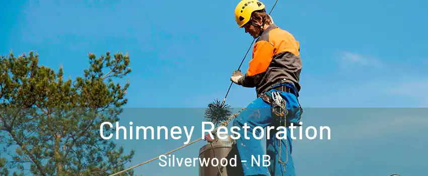  Chimney Restoration Silverwood - NB