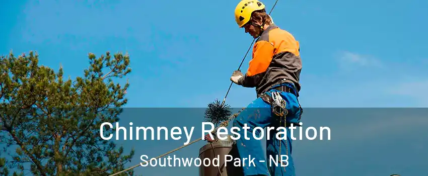  Chimney Restoration Southwood Park - NB