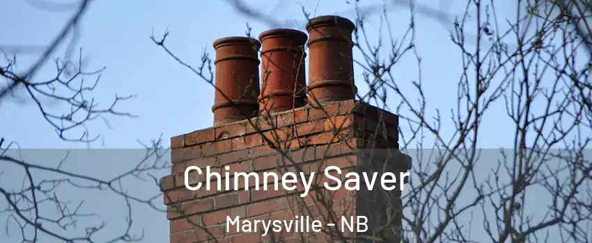  Chimney Saver Marysville - NB