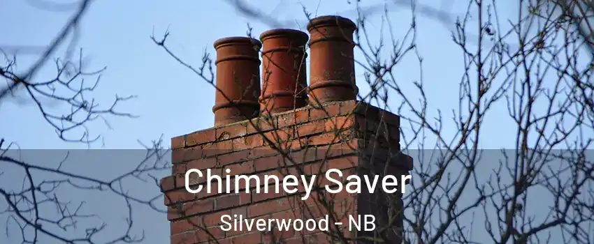  Chimney Saver Silverwood - NB