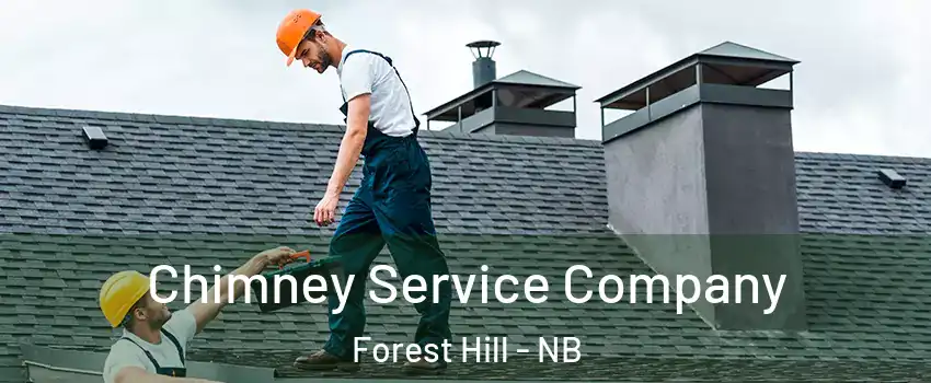 Chimney Service Company Forest Hill - NB