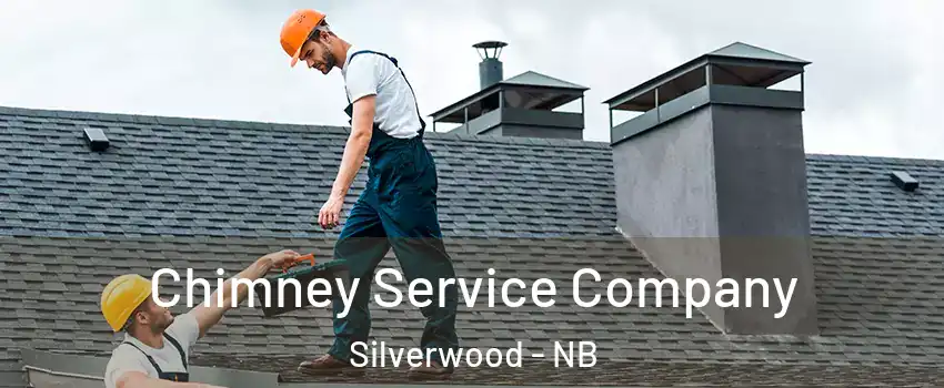  Chimney Service Company Silverwood - NB