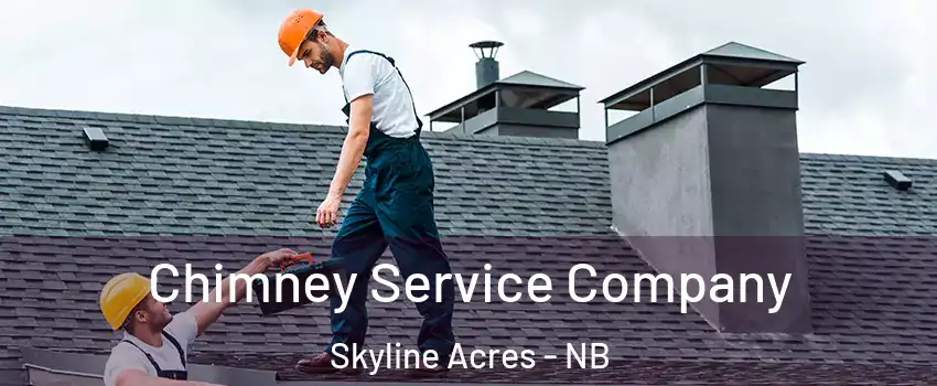 Chimney Service Company Skyline Acres - NB