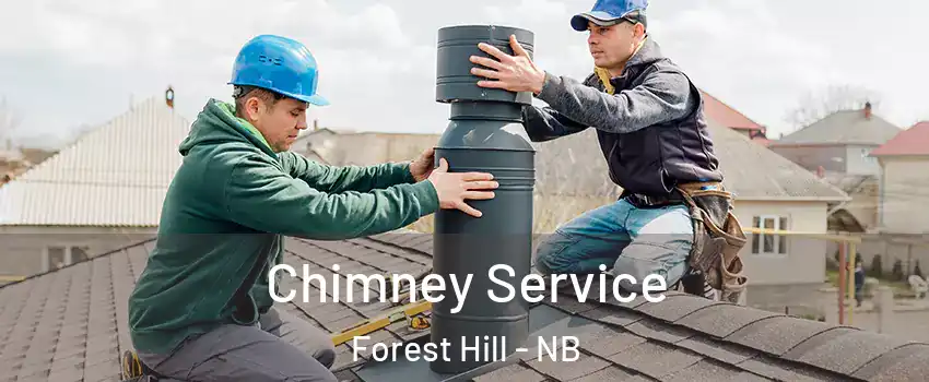  Chimney Service Forest Hill - NB