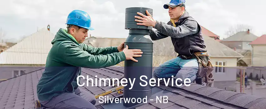  Chimney Service Silverwood - NB