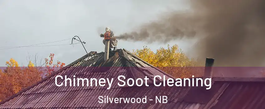  Chimney Soot Cleaning Silverwood - NB