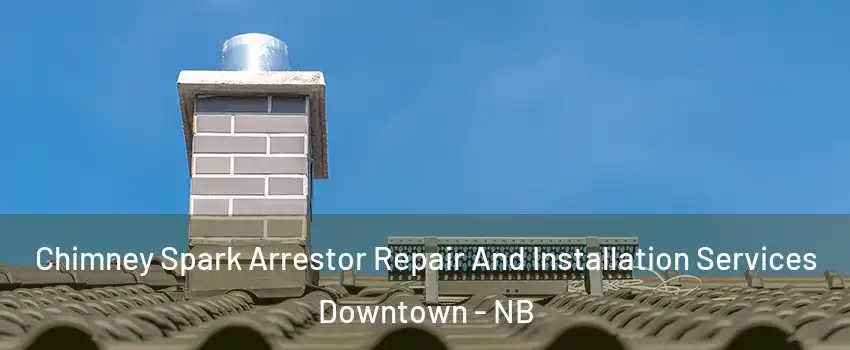  Chimney Spark Arrestor Repair And Installation Services Downtown - NB