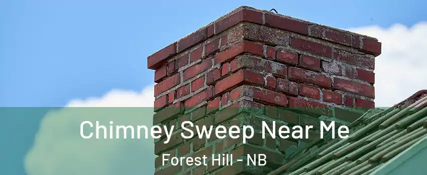  Chimney Sweep Near Me Forest Hill - NB