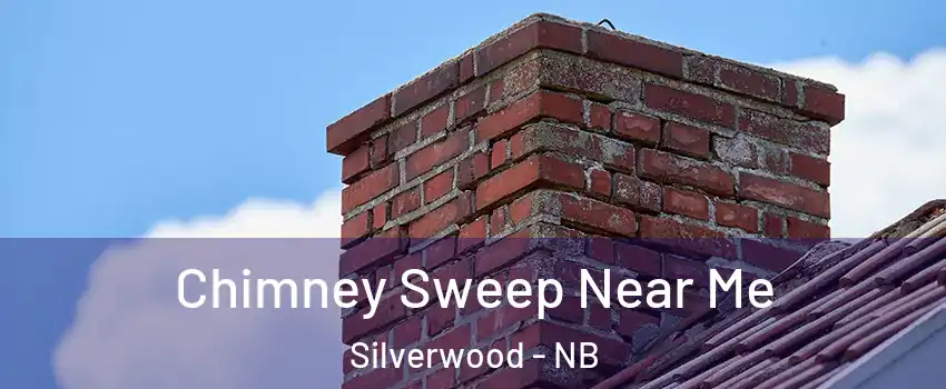  Chimney Sweep Near Me Silverwood - NB