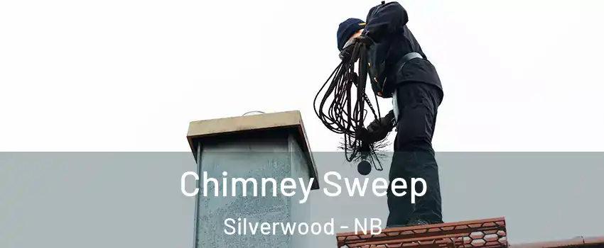  Chimney Sweep Silverwood - NB