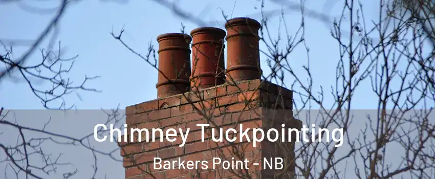  Chimney Tuckpointing Barkers Point - NB