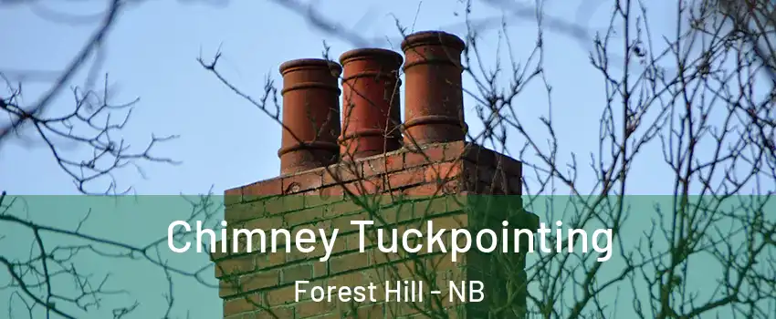  Chimney Tuckpointing Forest Hill - NB