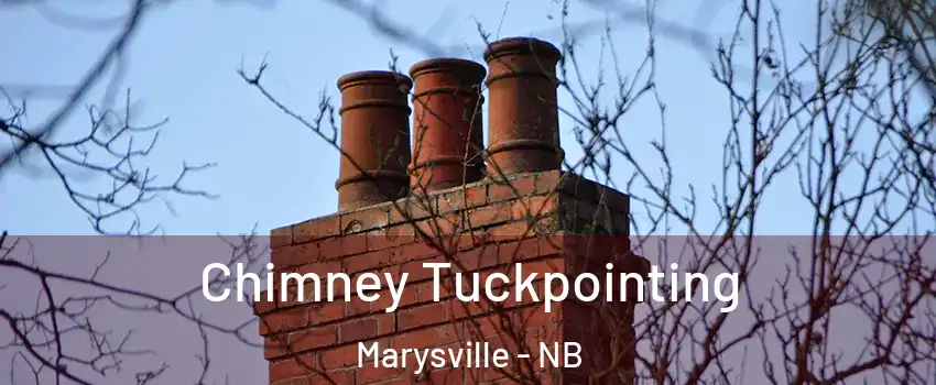  Chimney Tuckpointing Marysville - NB