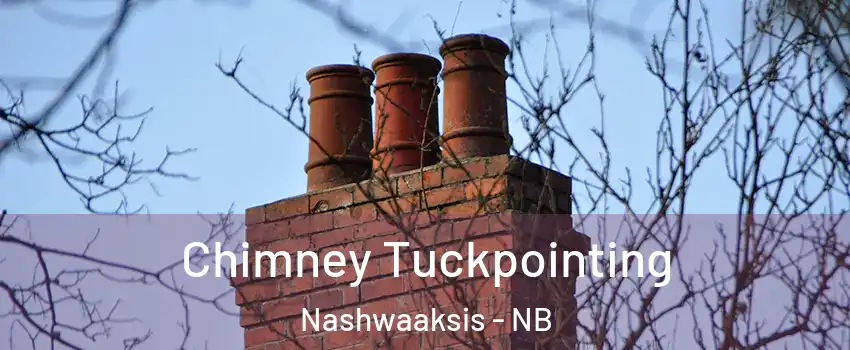 Chimney Tuckpointing Nashwaaksis - NB