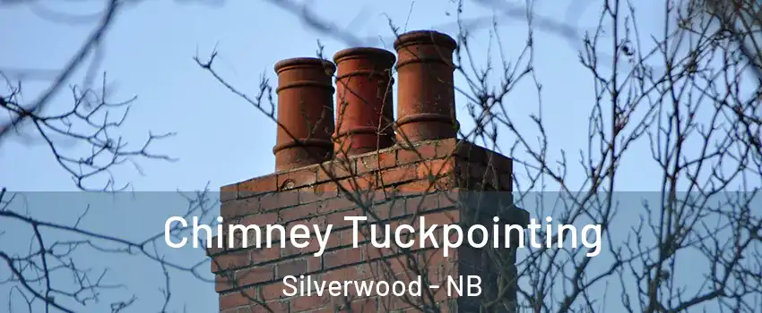 Chimney Tuckpointing Silverwood - NB