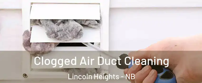  Clogged Air Duct Cleaning Lincoln Heights - NB