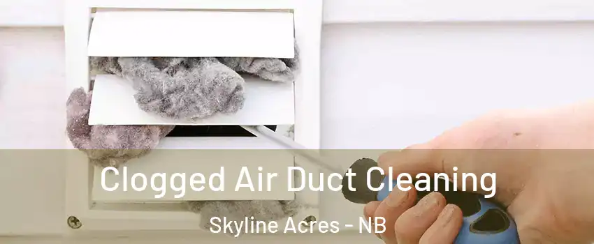 Clogged Air Duct Cleaning Skyline Acres - NB