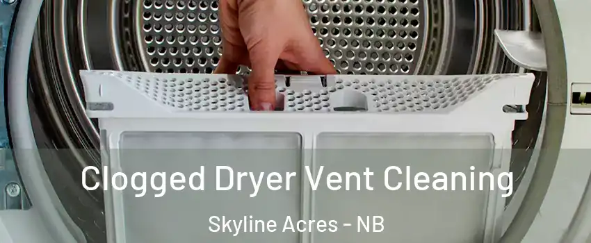  Clogged Dryer Vent Cleaning Skyline Acres - NB