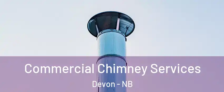  Commercial Chimney Services Devon - NB
