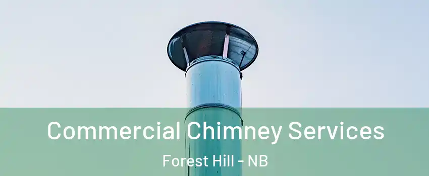  Commercial Chimney Services Forest Hill - NB