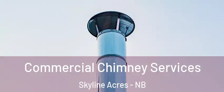  Commercial Chimney Services Skyline Acres - NB