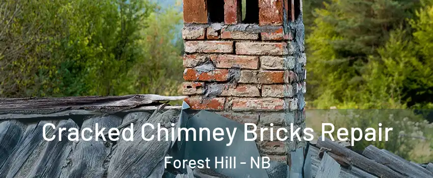  Cracked Chimney Bricks Repair Forest Hill - NB