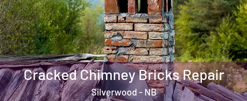  Cracked Chimney Bricks Repair Silverwood - NB