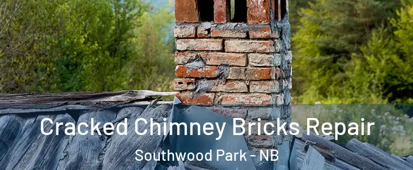  Cracked Chimney Bricks Repair Southwood Park - NB
