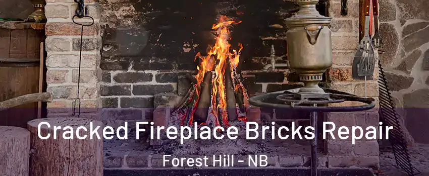  Cracked Fireplace Bricks Repair Forest Hill - NB
