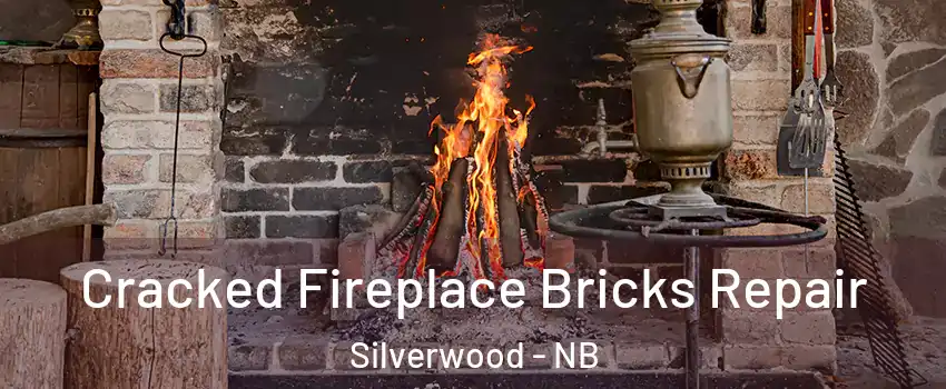  Cracked Fireplace Bricks Repair Silverwood - NB