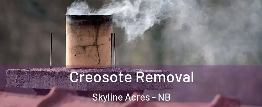  Creosote Removal Skyline Acres - NB