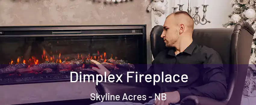  Dimplex Fireplace Skyline Acres - NB