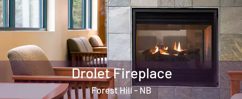  Drolet Fireplace Forest Hill - NB