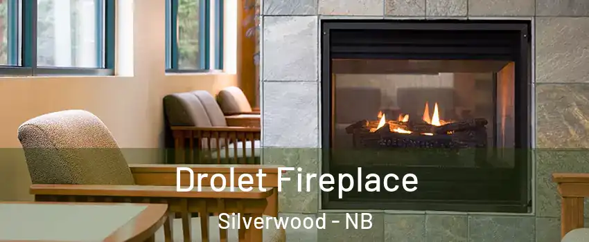 Drolet Fireplace Silverwood - NB