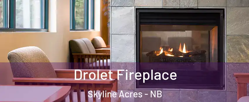  Drolet Fireplace Skyline Acres - NB