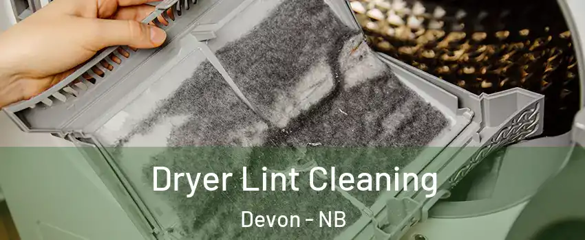  Dryer Lint Cleaning Devon - NB