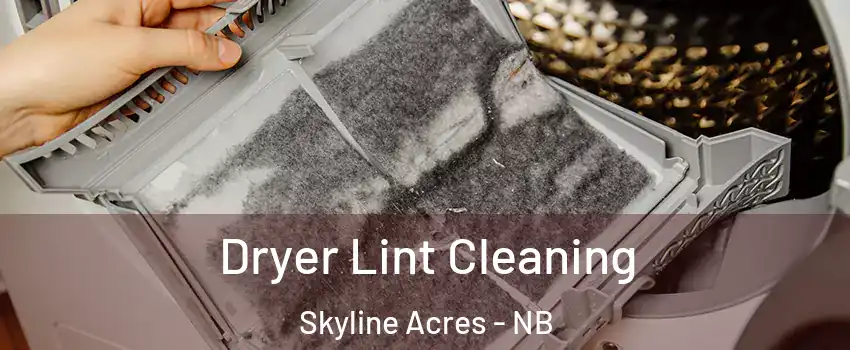  Dryer Lint Cleaning Skyline Acres - NB