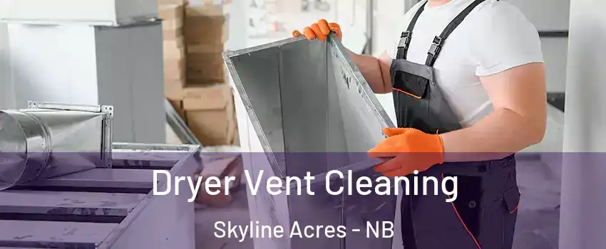  Dryer Vent Cleaning Skyline Acres - NB