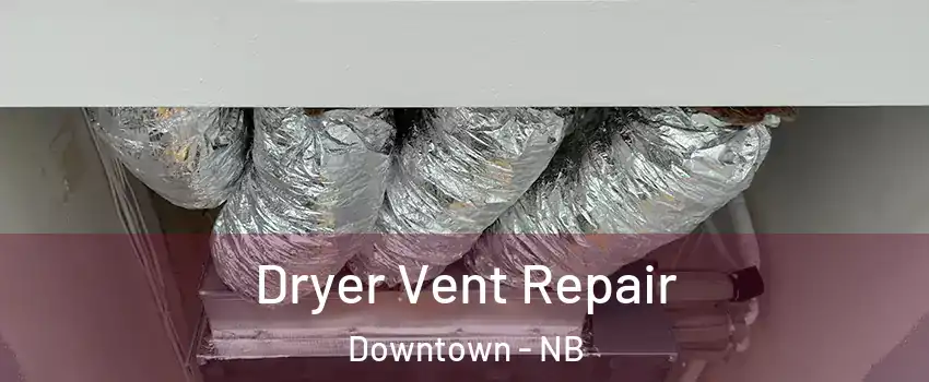  Dryer Vent Repair Downtown - NB