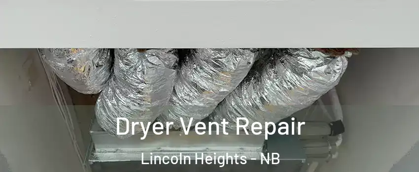  Dryer Vent Repair Lincoln Heights - NB
