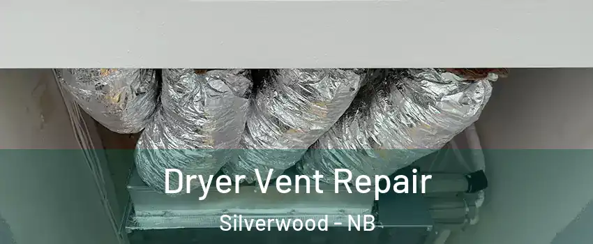  Dryer Vent Repair Silverwood - NB