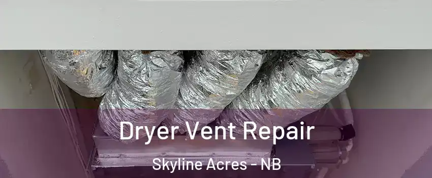  Dryer Vent Repair Skyline Acres - NB