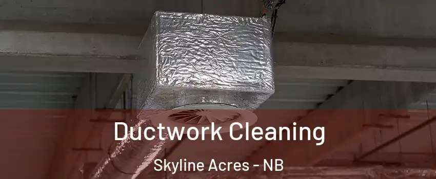  Ductwork Cleaning Skyline Acres - NB