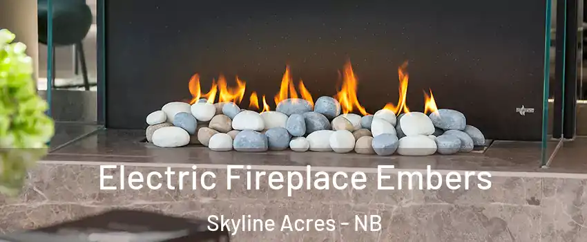  Electric Fireplace Embers Skyline Acres - NB