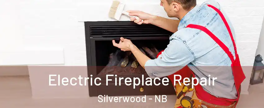  Electric Fireplace Repair Silverwood - NB